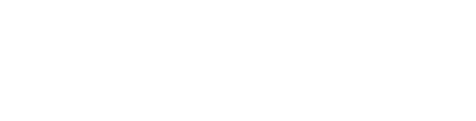 NINA PERFECT SKIN US